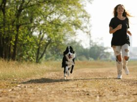 How to Safely Start Running With Your Dog