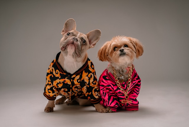 Cat and Dog Fashion Trends Stylish Outfits for Your Furry Friends