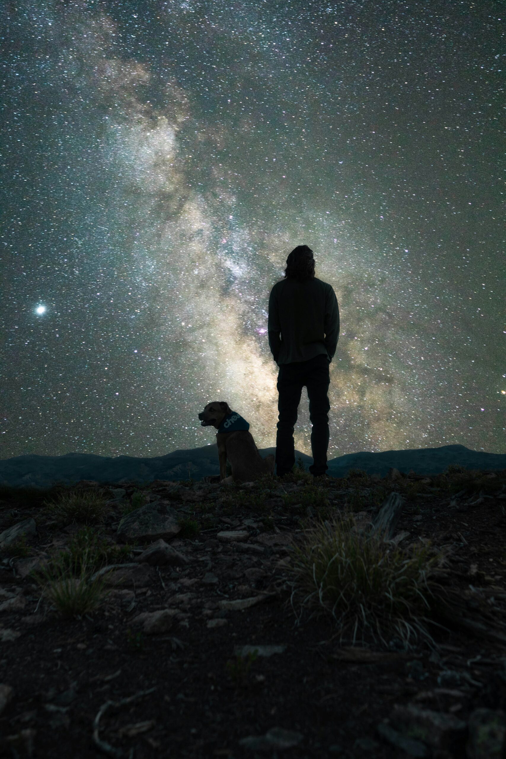 Safety Tips for Walking Your Dog at Night