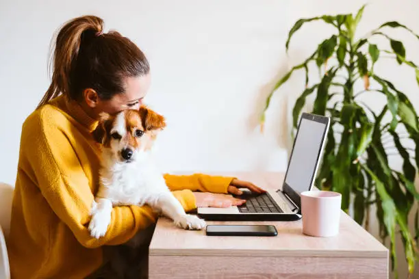 Creating a Pet-Friendly Work Environment