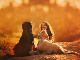 How Pets Enhance Childhood Development