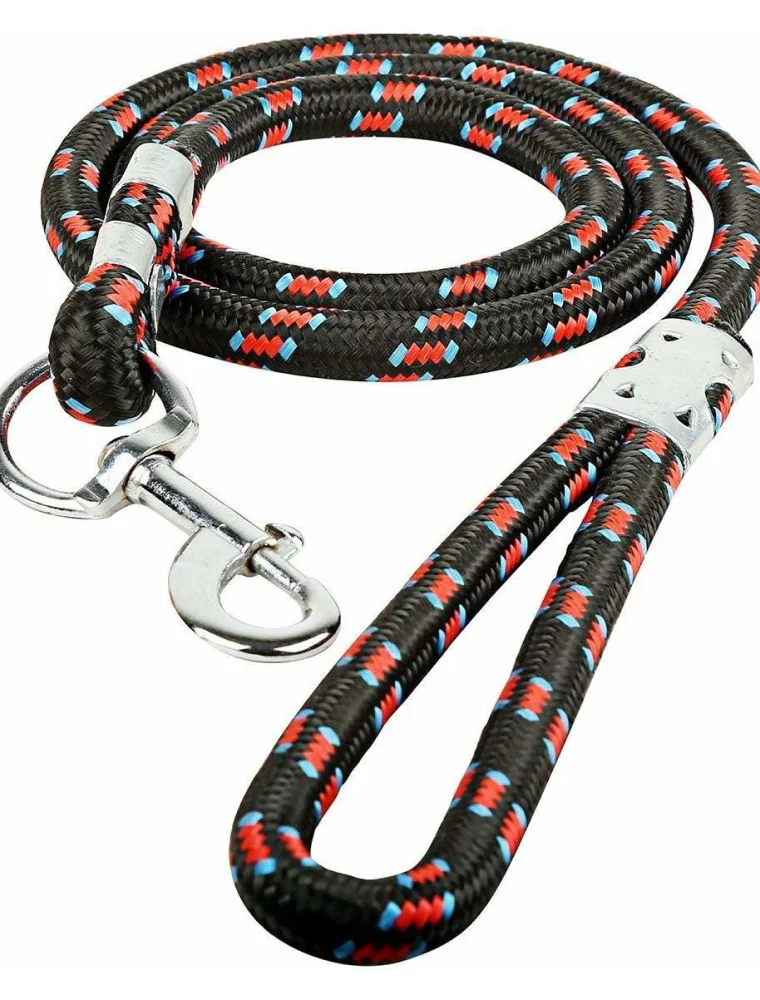 Dog Leashes