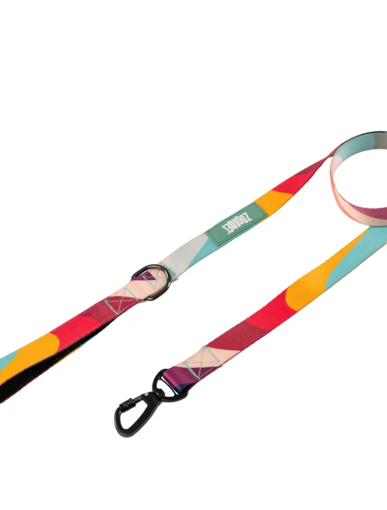Dog leashes