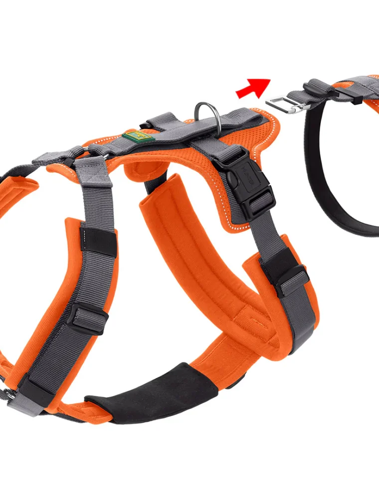 Hunter Maldon Safety Harness for Dogs (Orange)